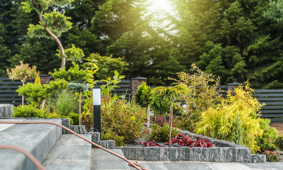 Modern garden build